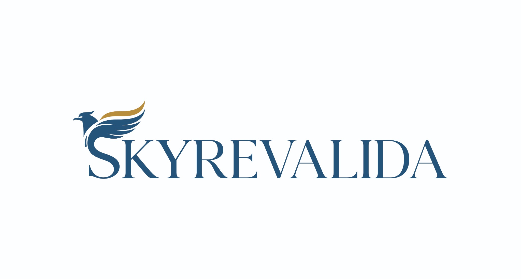 SkyRevalida